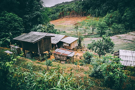 wooden houses near fields and hill thumbnail