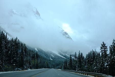 open road with forest and mountain under cloudy skies thumbnail