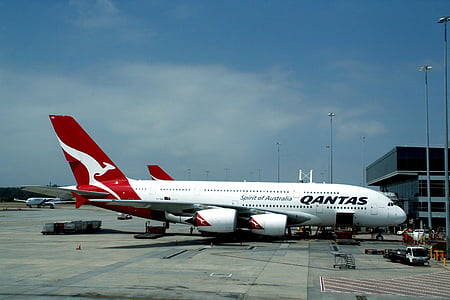 white and red Qantas airplane parked on airport thumbnail