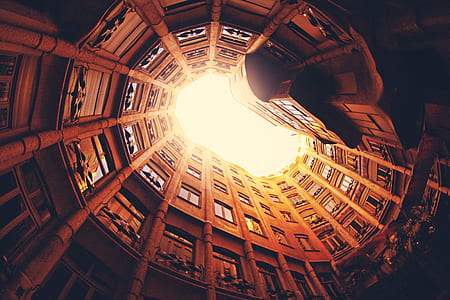 worm's view of brown building thumbnail