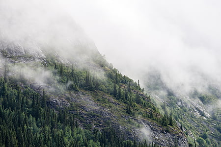 green mountain thumbnail