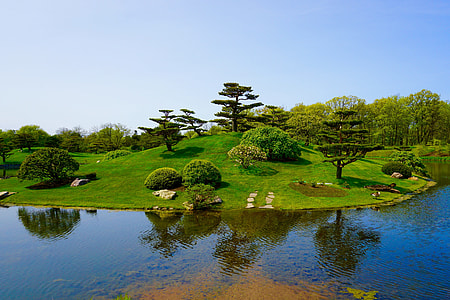 green trees near lake during daytime thumbnail