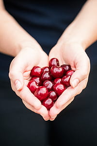 person holding red berries thumbnail