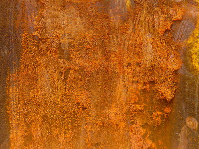 brown wood close-up photo thumbnail