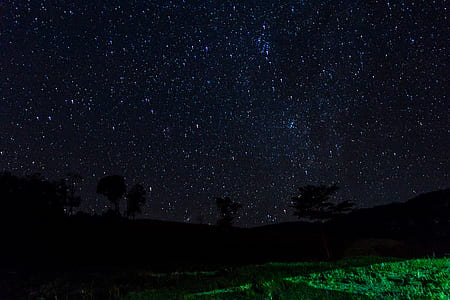 silhouette of open field under stars at night thumbnail