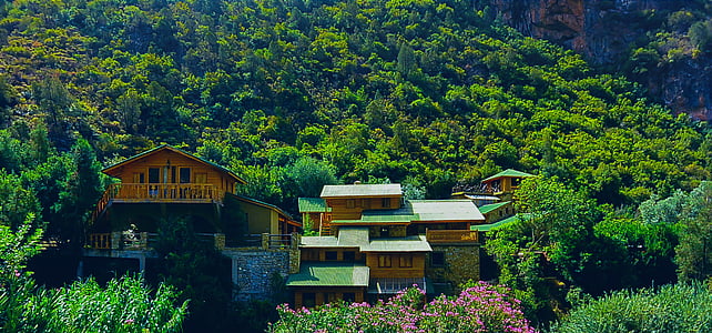 green and blue house surrounded by trees thumbnail