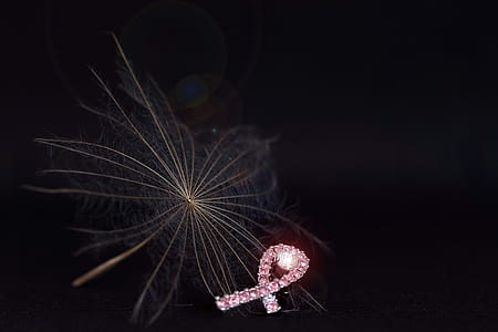 feather flower thumbnail
