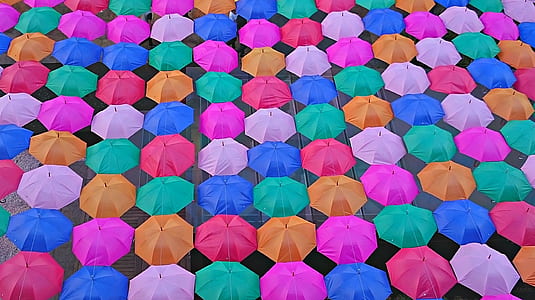 assorted-color umbrella lot thumbnail