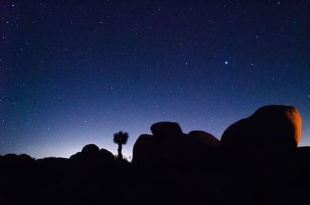 silhouette of tree and monolith during nighttime thumbnail