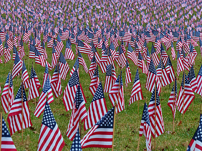 flag of America on field thumbnail