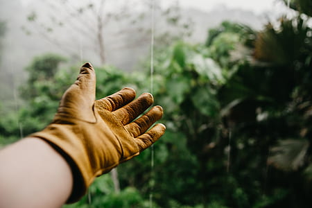 selective focus photography of left glove thumbnail