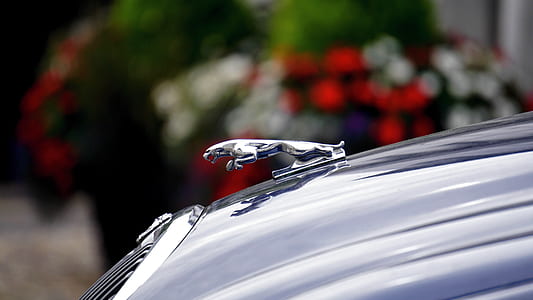 Jaguar Logo thumbnail