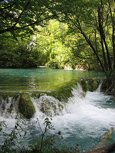 body of water surrounded by green trees thumbnail