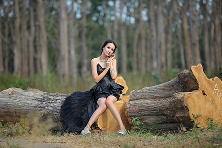 woman wearing black strapless cocktail dress sitting on tree log during daytime in selective-focus photography thumbnail
