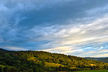 hills with trees during daytime thumbnail