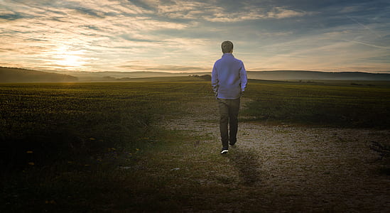 man walking on brown pathway surrounded by green grass thumbnail