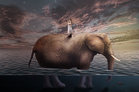 girl in white dress on gray elephant illustration thumbnail