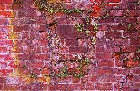 photo of red brick wall thumbnail