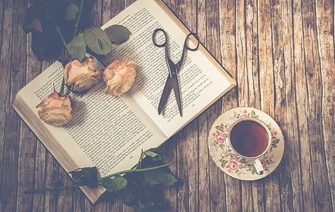 scissors on opened book beside rose near teapot on saucer thumbnail