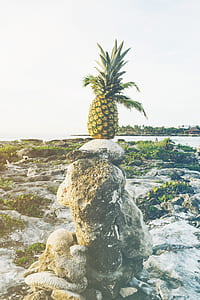 landscape, sand, water, rocks thumbnail
