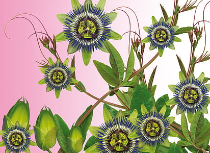 green flowers illustration thumbnail