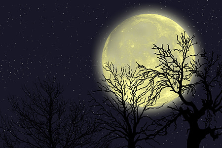 full moon thumbnail