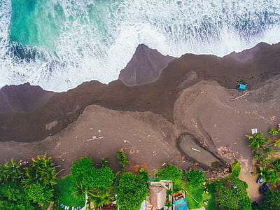 brown beach with trees thumbnail