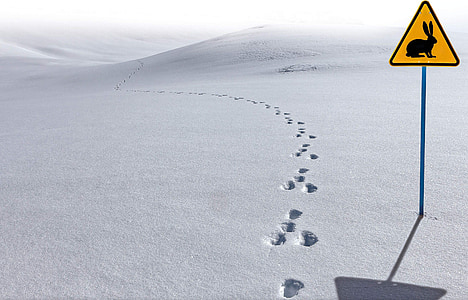 foot prints on snow thumbnail