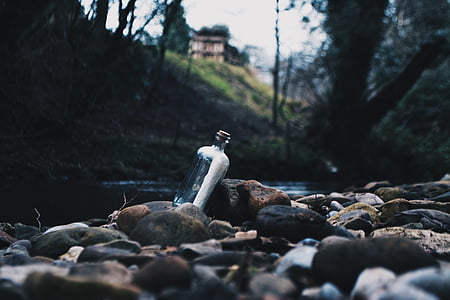 clear glass bottle surrounded by stones beside stream thumbnail