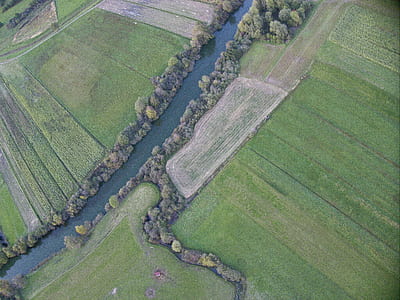 aerial photography of river between trees thumbnail