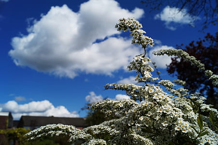 landscape, nature, sky, clouds thumbnail
