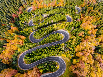 aerial view of roadway beside trees thumbnail