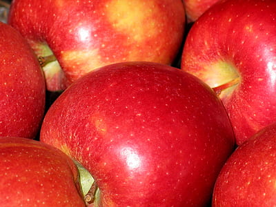 pile of apple fruits thumbnail