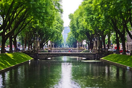 bridge during daytime thumbnail