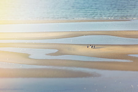 group of people on low tide seashore thumbnail