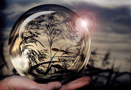 round clear ball on the person's palm thumbnail