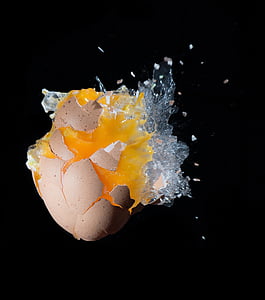 macro photography of cracked egg thumbnail