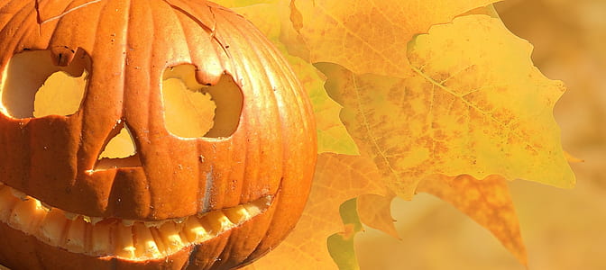 close-up photography of Jack-O-Lantern thumbnail