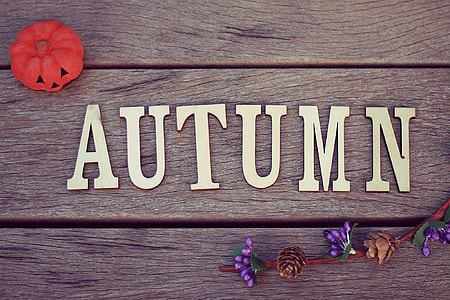 AUTUMN freestanding party favor above brown wooden plank thumbnail