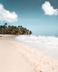 seashoreduring daytime thumbnail