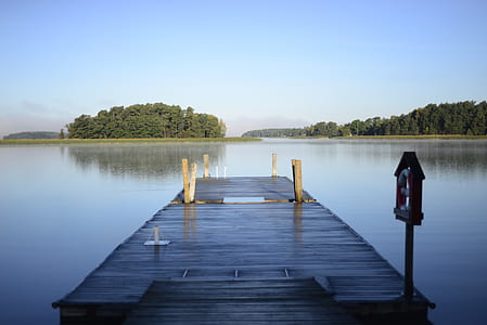 close-up photo of brown river dock thumbnail