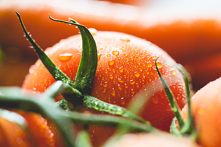 Wet Tomato Close Up thumbnail