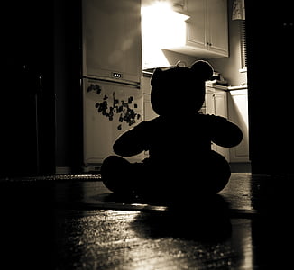 silhouette of bear plush toy on floor thumbnail