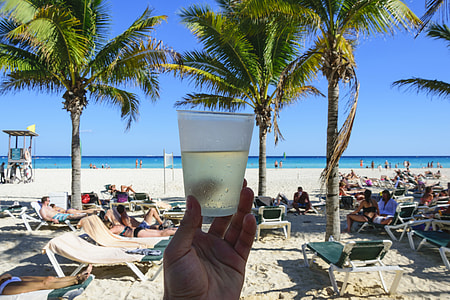 person holding glass drinking cup thumbnail