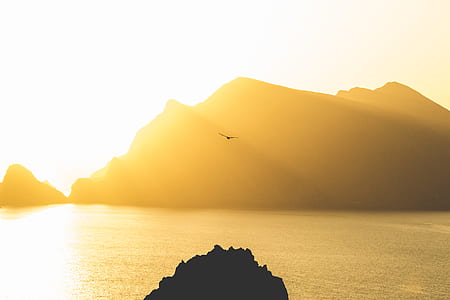 silhouette of mountain near body of water thumbnail