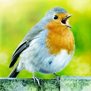 orange and gray bird painting thumbnail