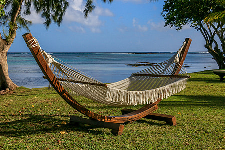 hammock between trees during daytime thumbnail