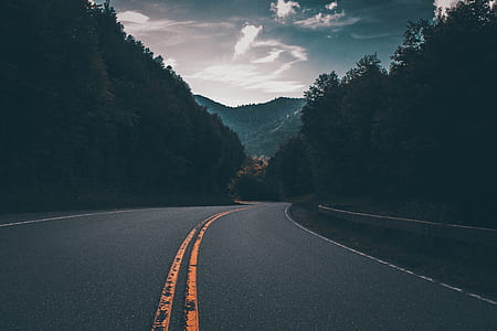 gray concrete road between trees under cloudy sky thumbnail