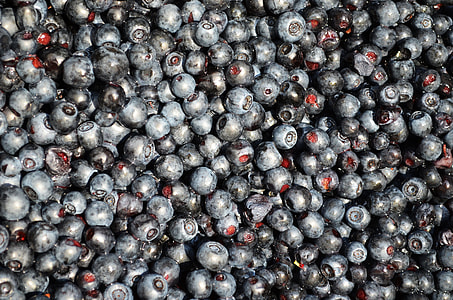 close-up photography of blueberries thumbnail