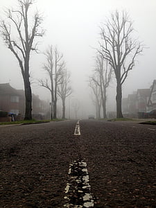 white line on concrete road between bare trees surrounded with fog thumbnail